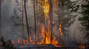 Forest fires raging in Russia's coldest region raise alarm of nuclear disaster